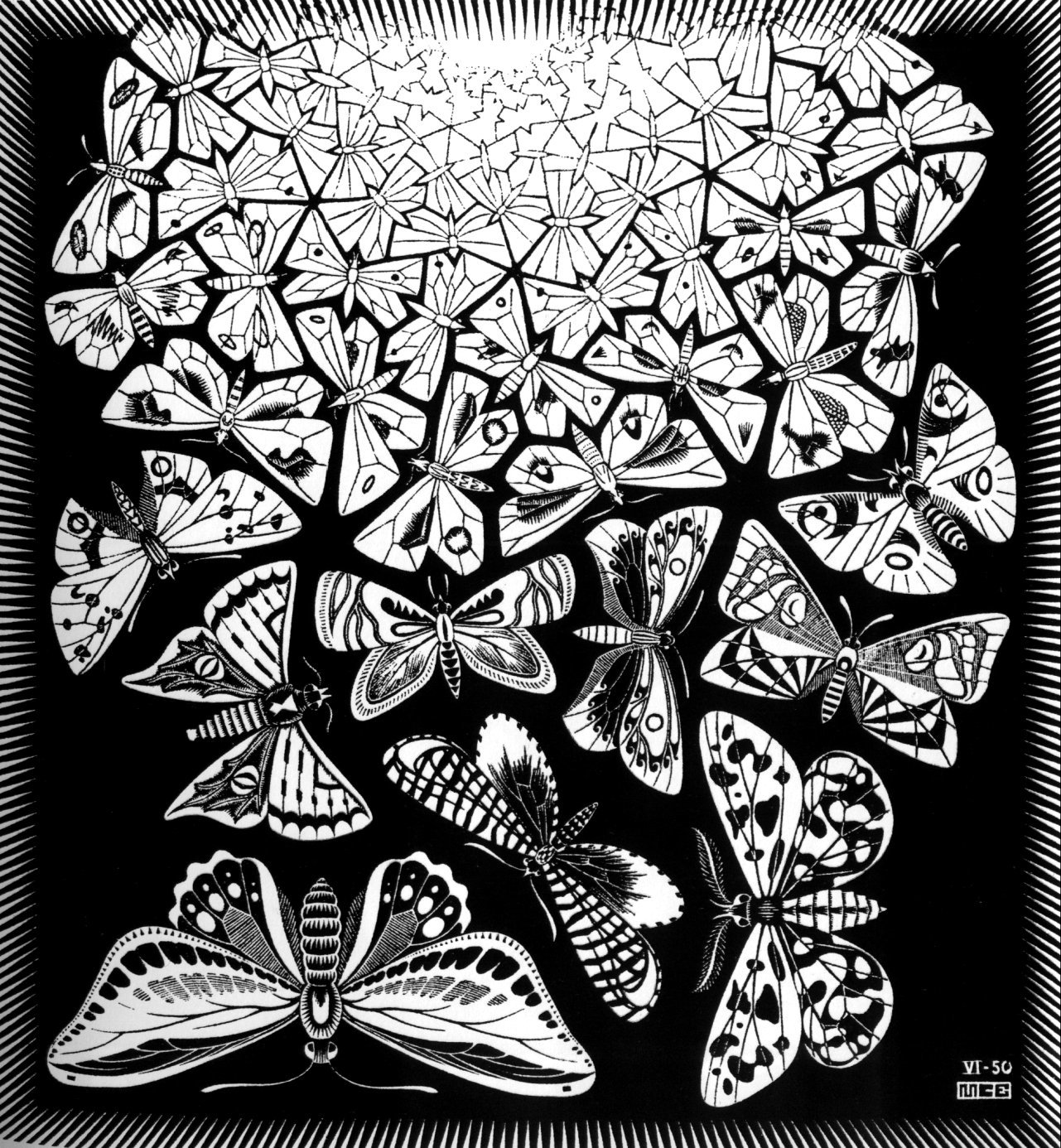 Butterfly pattern artwork