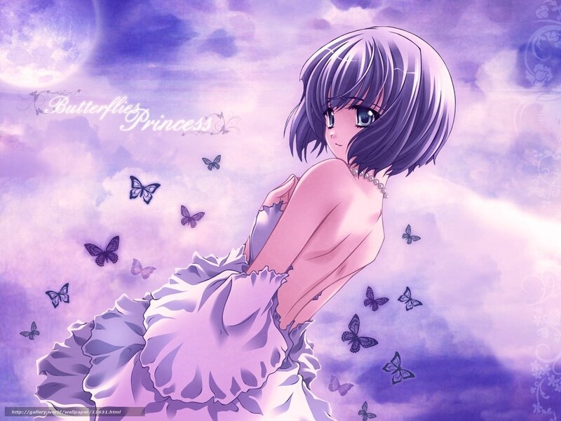 butterfly princess artwork