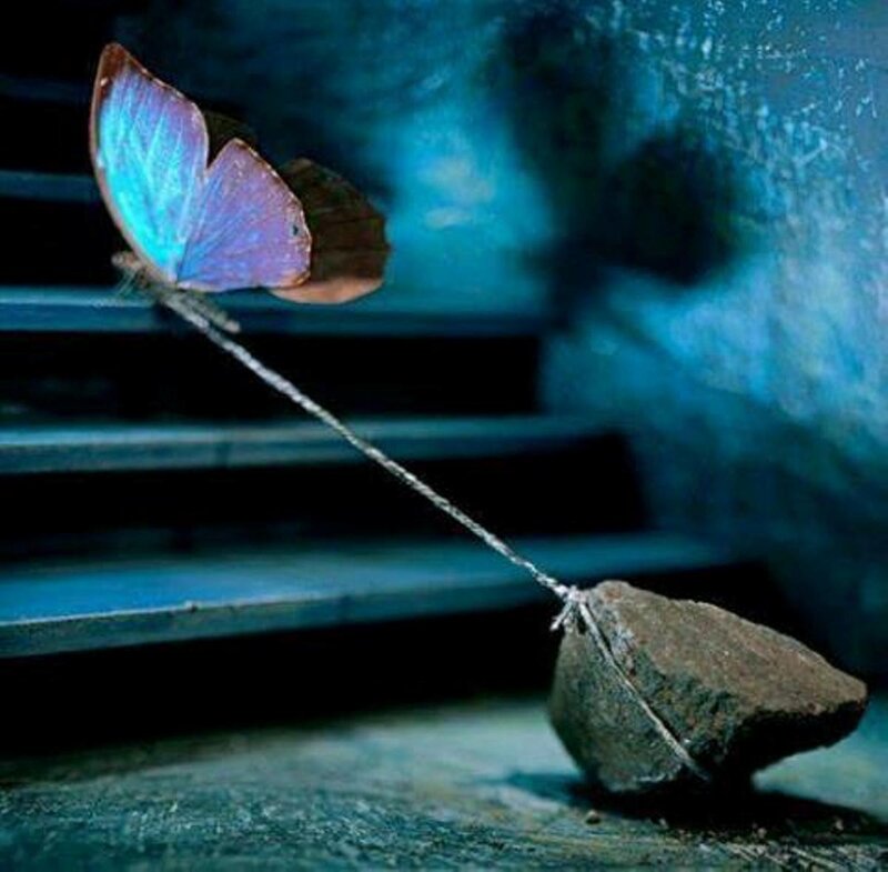 Butterfly Pulling Rock