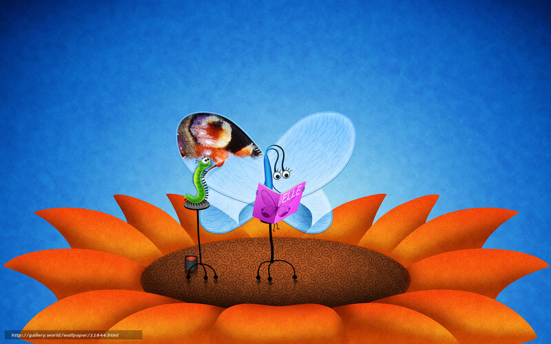 Butterfly reading on flower
