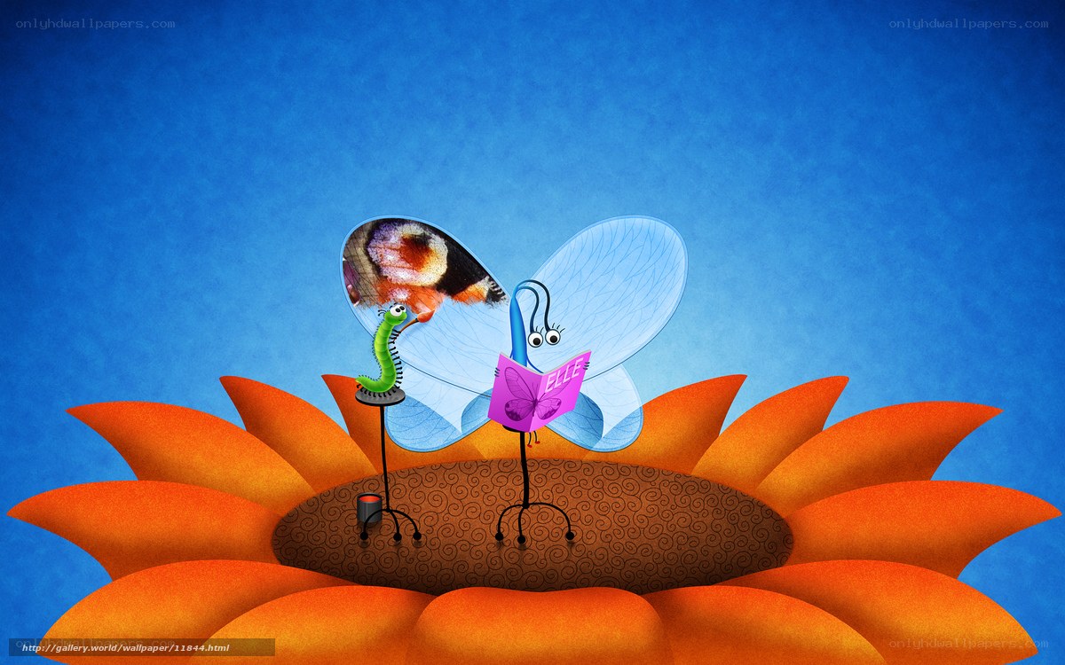 Butterfly reading on flower