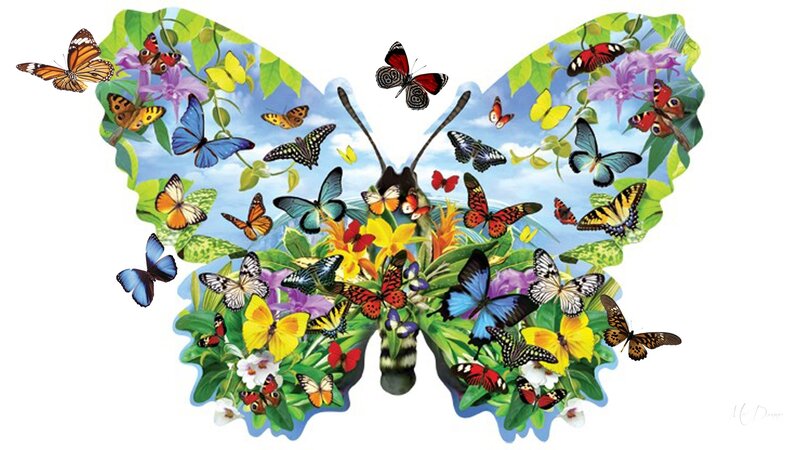 Butterfly-shaped Floral Arrangement