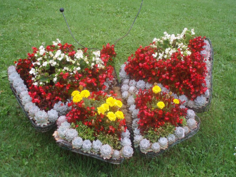 Butterfly-shaped Flower Arrangement