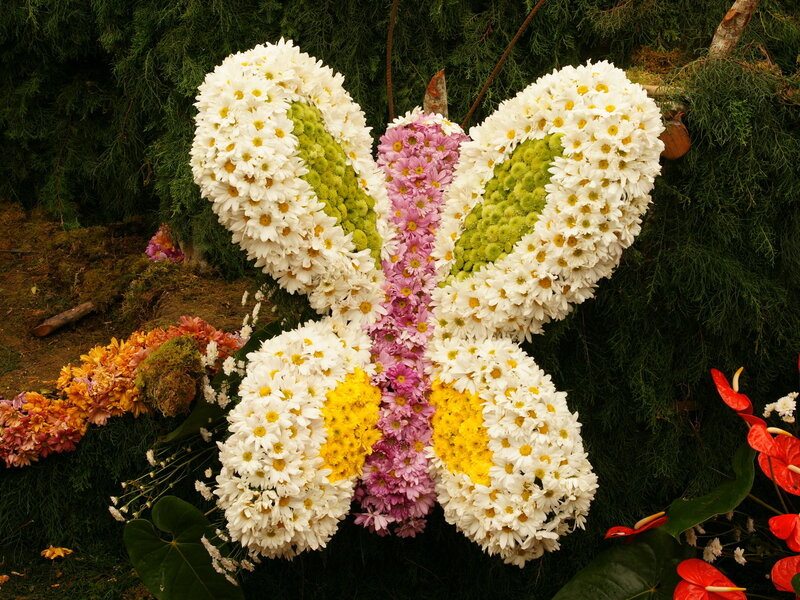 Butterfly-shaped Flower Arrangement — White
