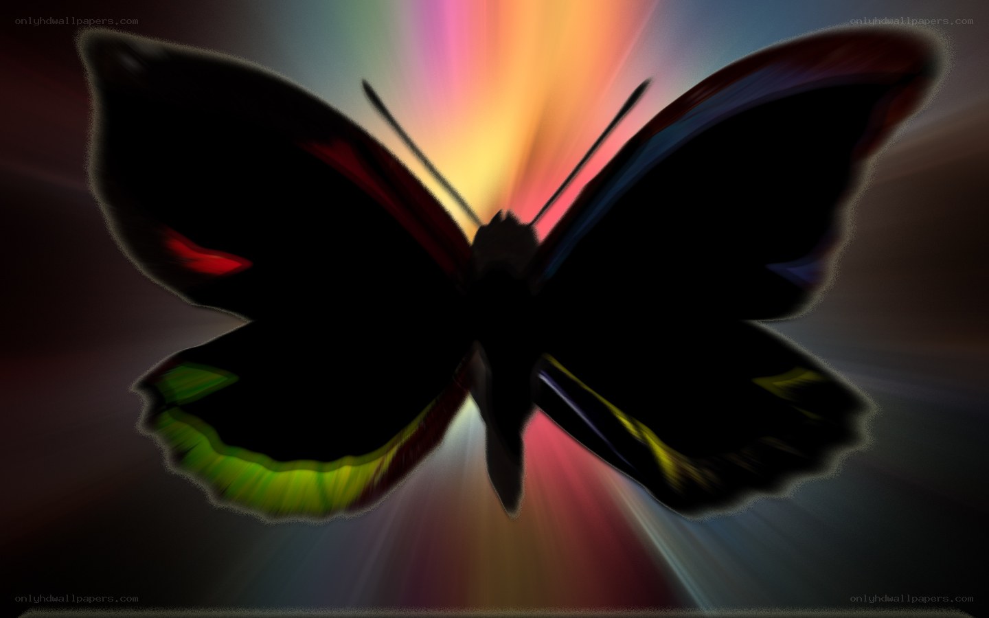 butterfly silhouette with rainbow light