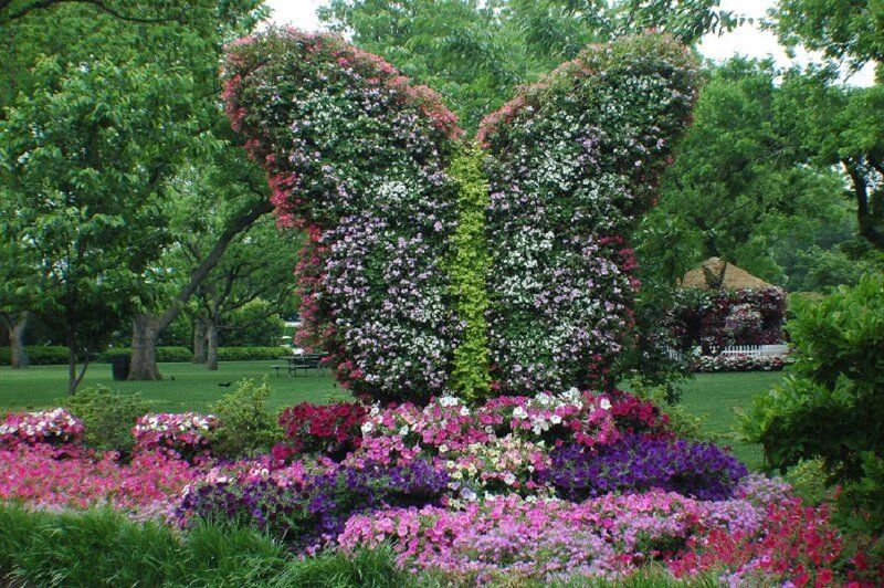 Butterfly Topiary Sculpture