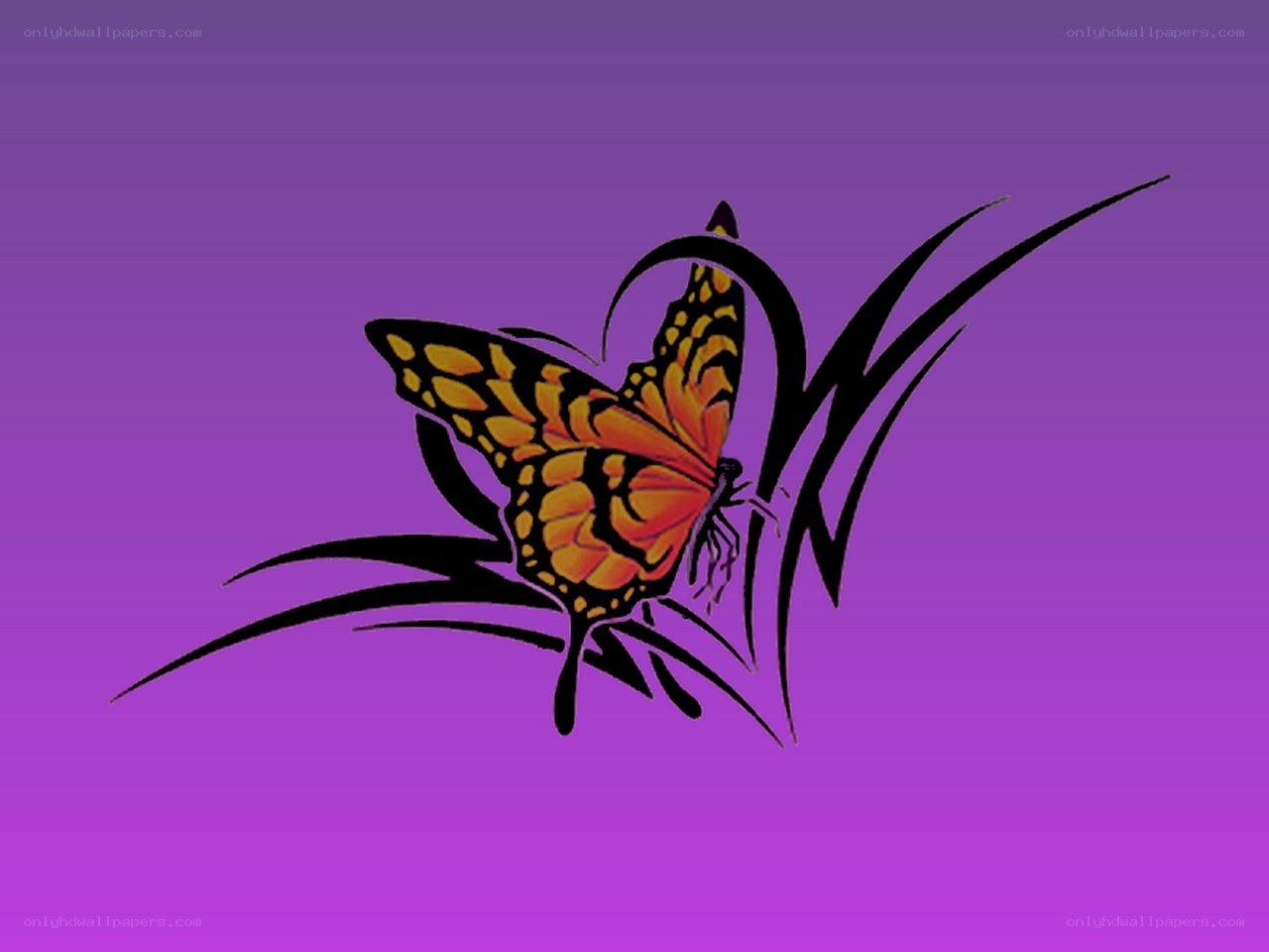 butterfly tribal design
