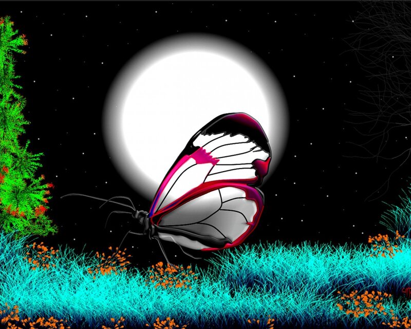 Butterfly under the moon