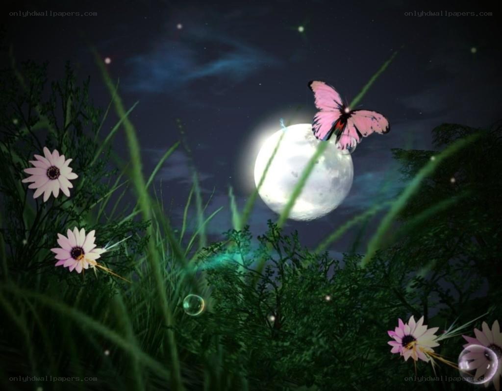 Butterfly under the moonlight