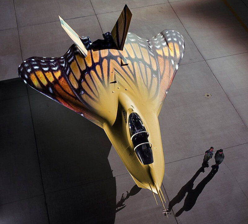 Butterfly-winged stealth jet