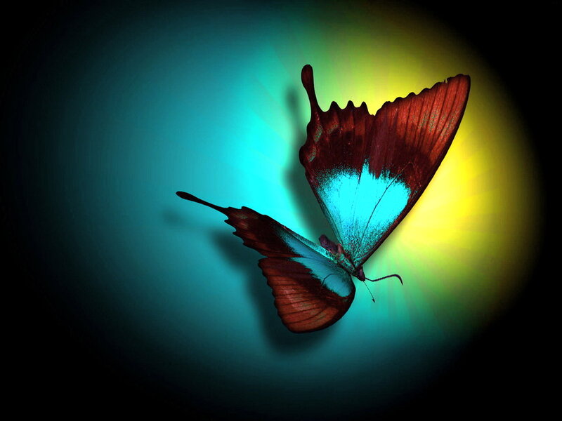 Butterfly with Blue Wings — Dramatic, Digital Art, Light