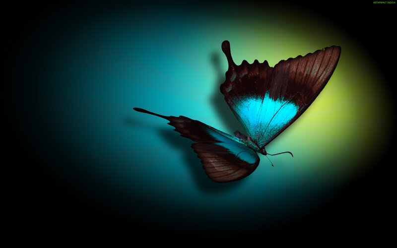 Butterfly with Blue Wings — Dramatic, Digital Art