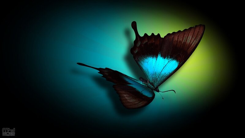 Butterfly with Blue Wings — Dramatic
