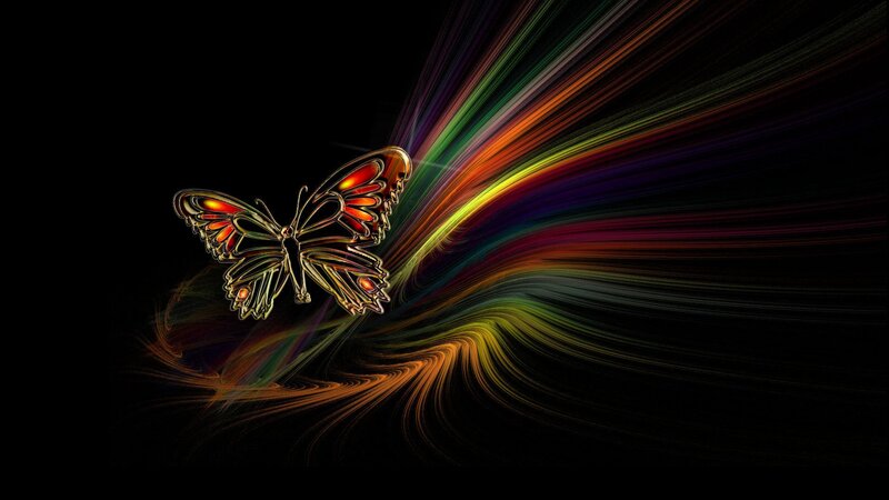 Butterfly with Colorful Wings — Black, Dynamic