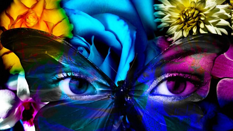 Butterfly with Eyes