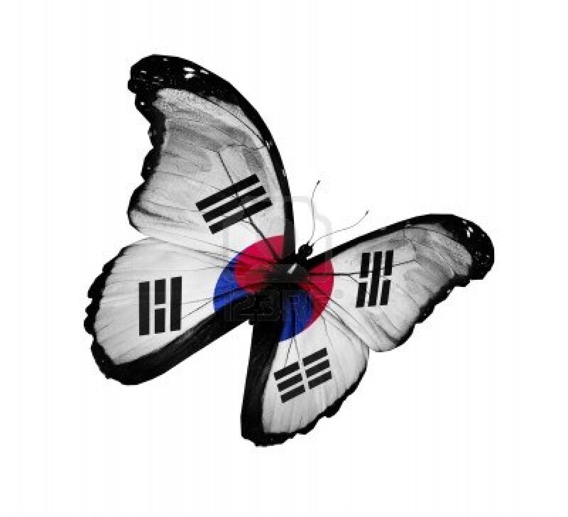 Butterfly with Flag Design