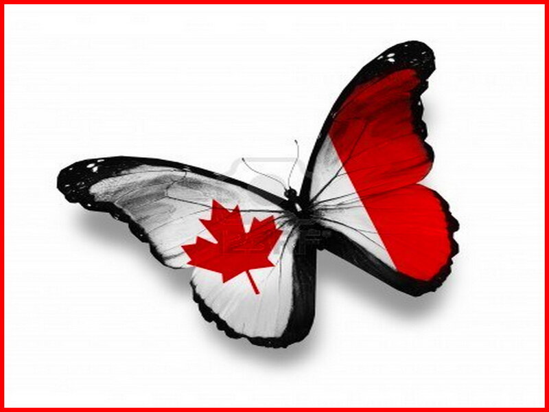 Butterfly with Flag