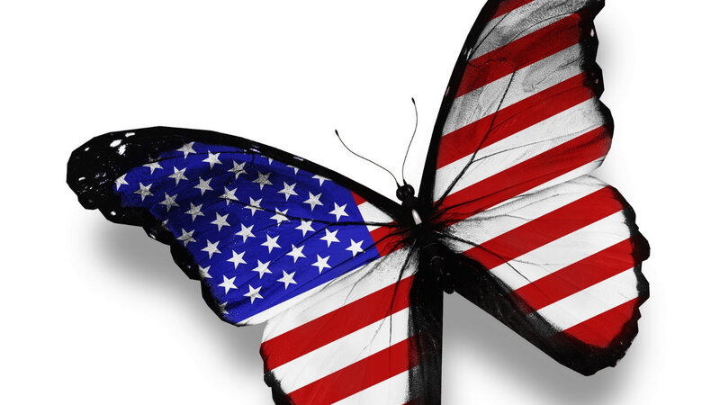 Butterfly with Flag Wings