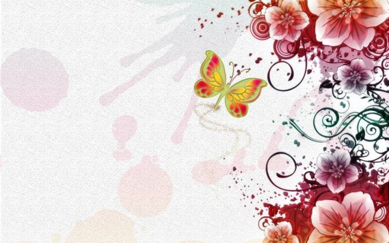Butterfly with Floral Design — White