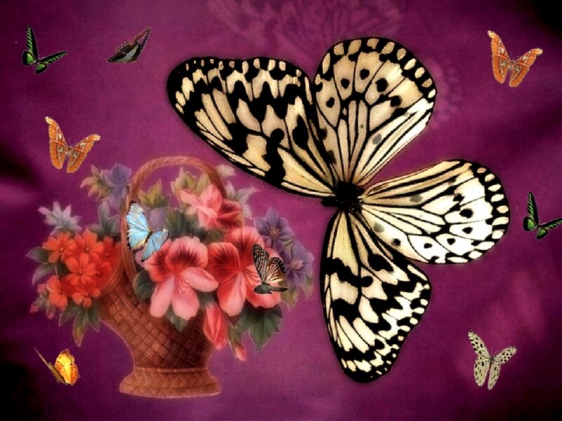 Butterfly with Flowers — Purple