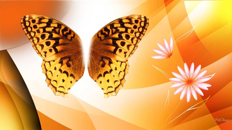 Butterfly with flowers