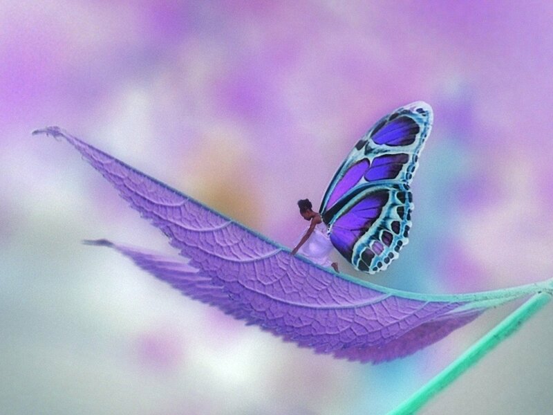 Butterfly with Girl