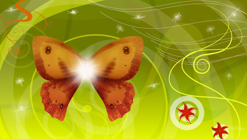 butterfly with glowing center