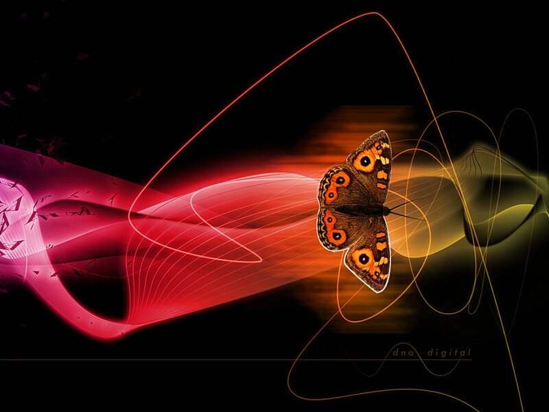 Butterfly with Glowing Lines