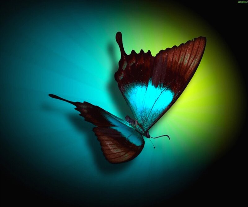 Butterfly with Glowing Wings — Blue, Dramatic