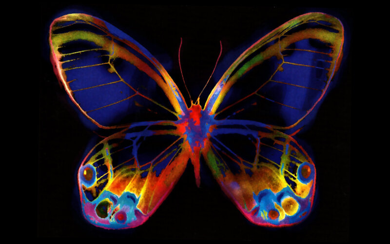 Butterfly with Glowing Wings — Blue