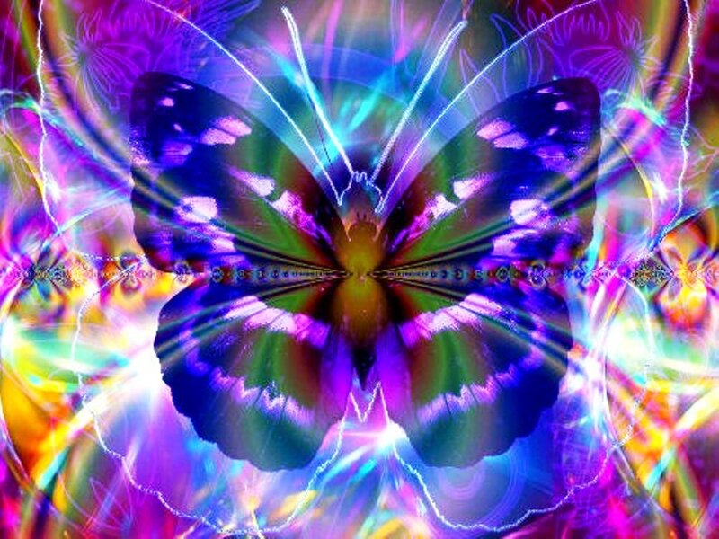 Butterfly with Glowing Wings — Purple, Vibrant