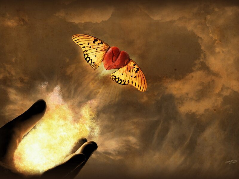 Butterfly with Heart Body