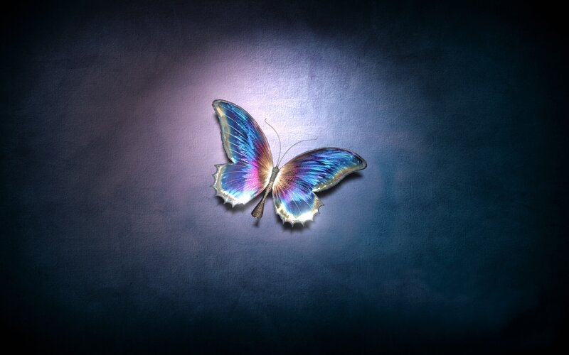 Butterfly with Iridescent Wings