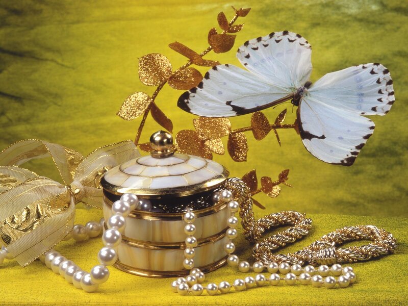 Butterfly with pearls and jewelry