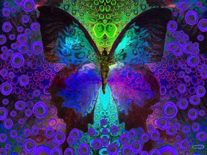 Butterfly with Psychedelic Wings