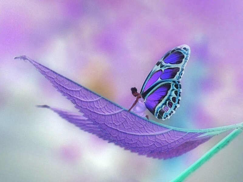 Butterfly with Purple Wings — Dreamy, Digital Art