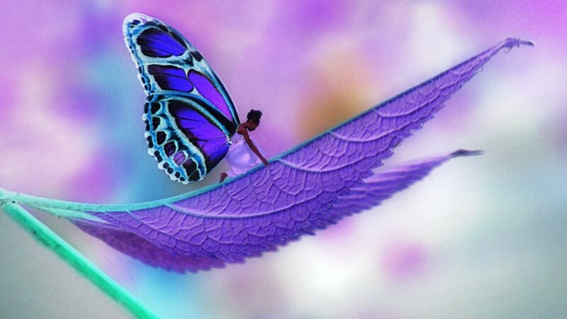Butterfly with Purple Wings — Dreamy