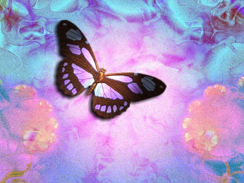 Butterfly with Purple Wings
