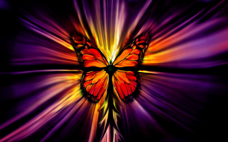 Butterfly with Radiant Wings