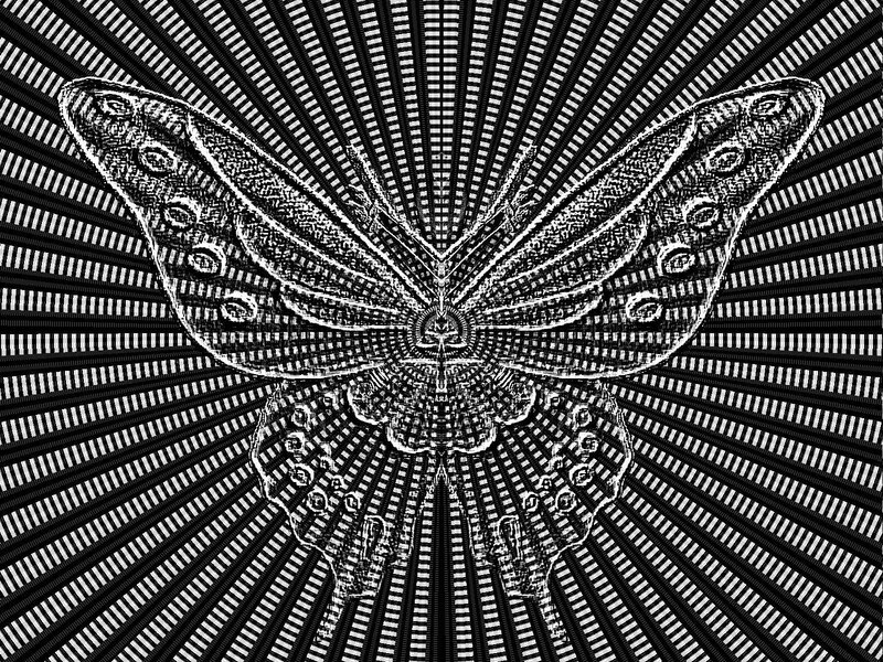 Butterfly with radiating pattern
