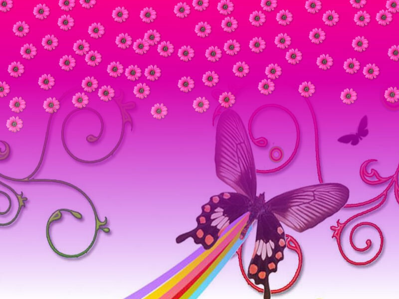 butterfly with rainbow trail