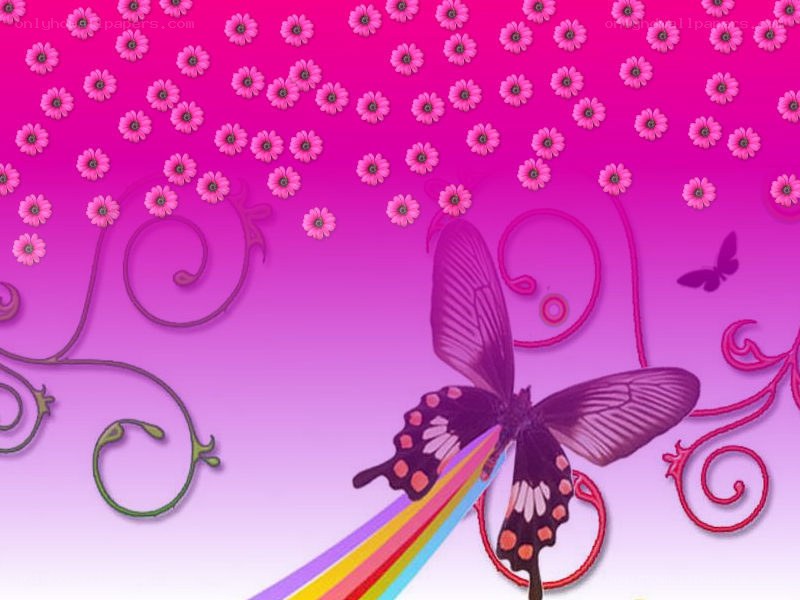 butterfly with rainbow trail