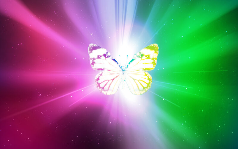 Butterfly with Rainbow Wings