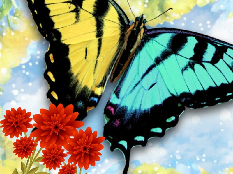 Butterfly with Red Flowers — Yellow