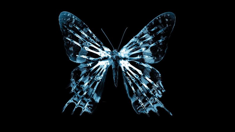Butterfly with Skeletal Wings — Blue, Dramatic