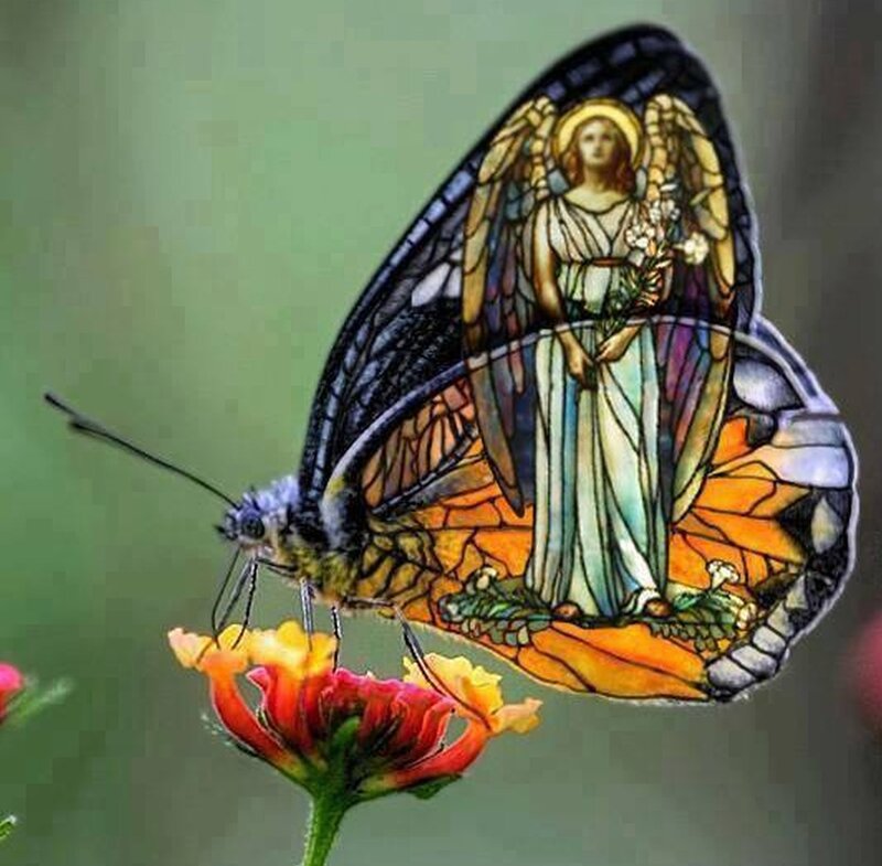 Butterfly with Stained Glass Wings