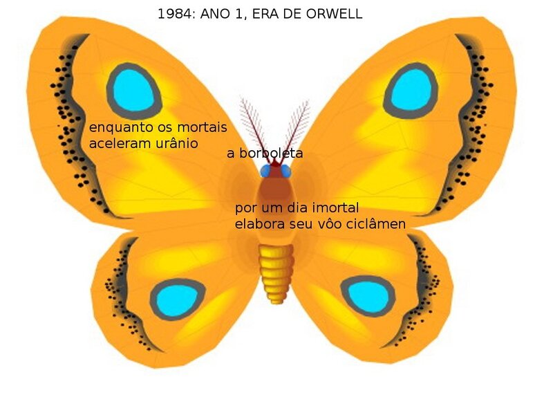 butterfly with text