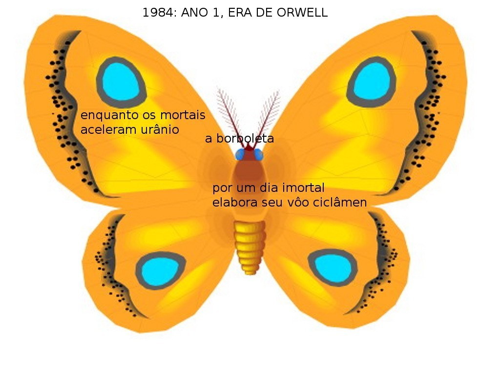 butterfly with text