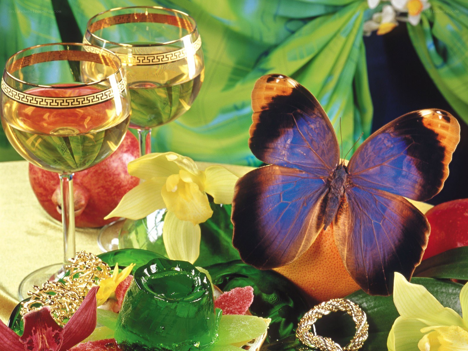 Butterfly with wine glasses