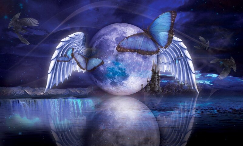 Butterfly with Wings